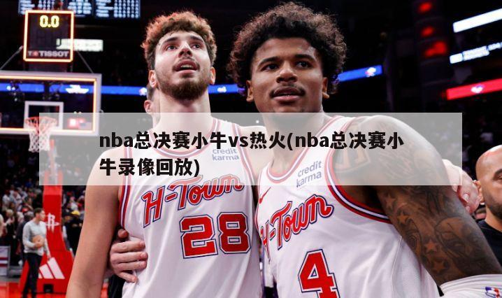 nba总决赛小牛vs热火(nba总决赛小牛录像回放)